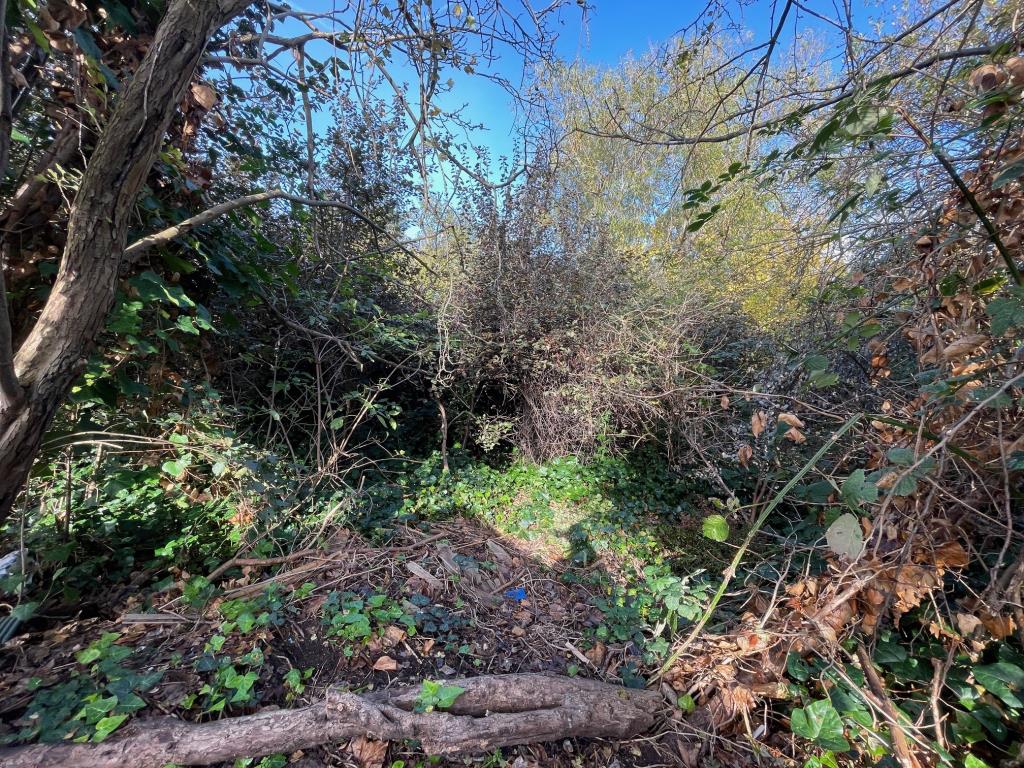 Lot: 114 - OVERGROWN PARCEL OF LAND IN RESIDENTIAL AREA - Another view of the overgrown land